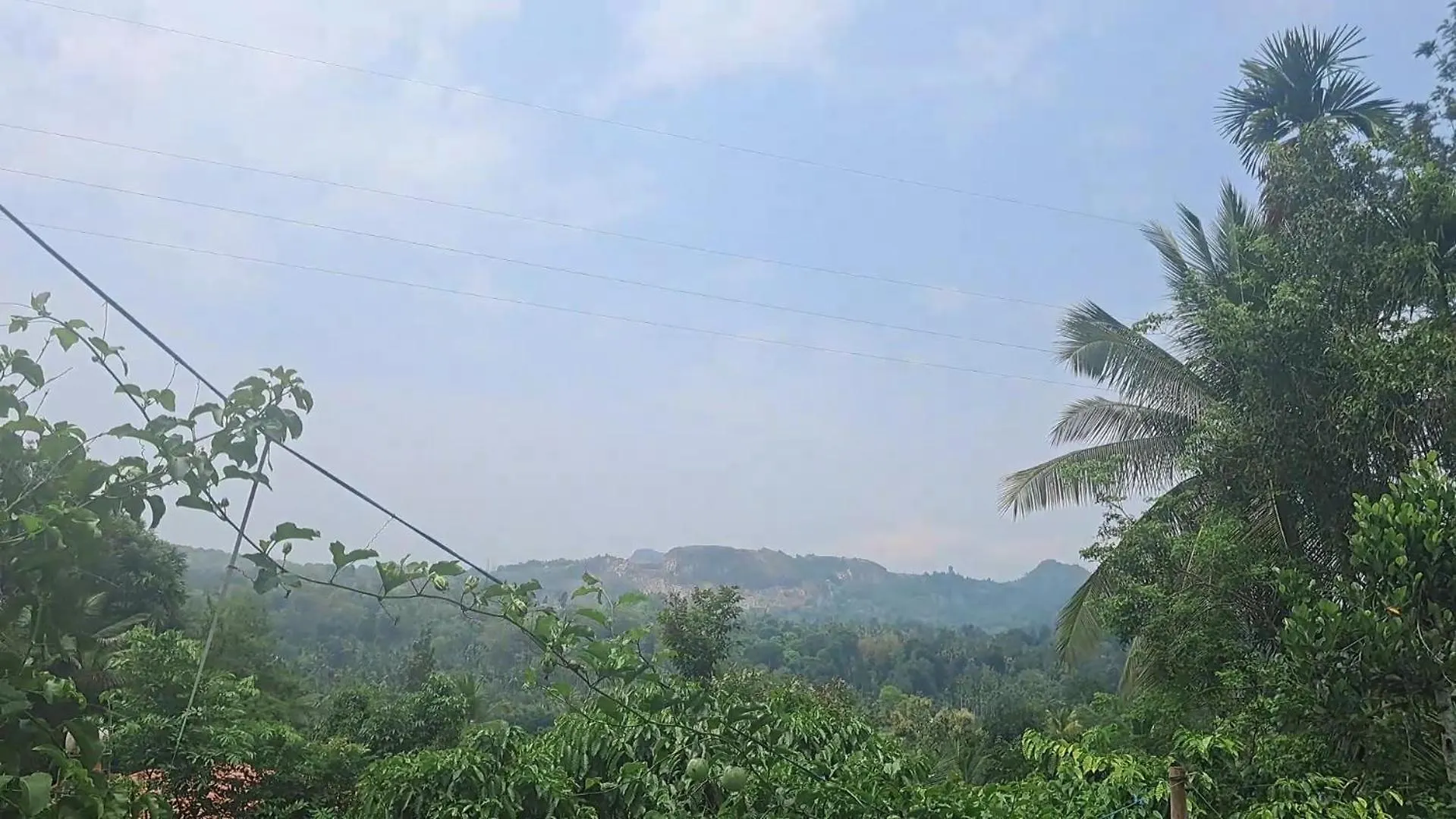 Hillnest Homes Ambalavayal Holiday home