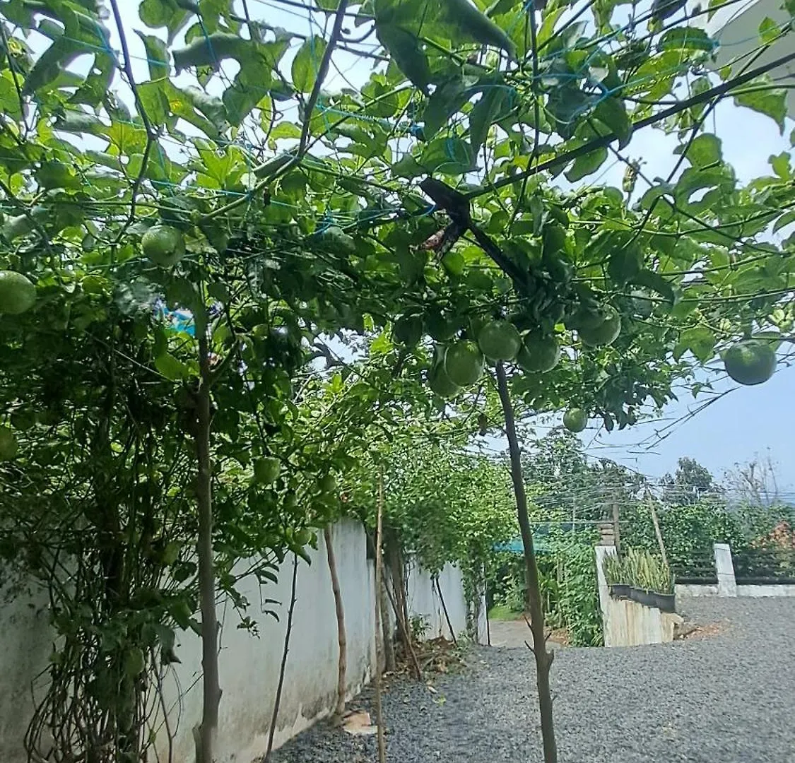 Holiday home Hillnest Homes Ambalavayal